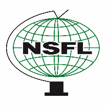 NSFL &mdash; Networth Securities